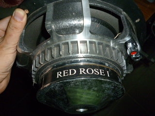 10" SAMMI RED ROSE I