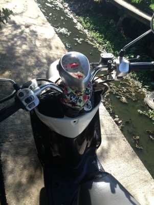 12500ขายมีโอ แปลงเป็น ฟีโน่  หล่อๆเดิมๆ ล้อแม็ก โชคแต่ง