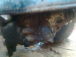 ขายไอหลงTURBO