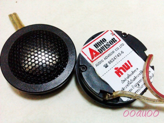 แหลมโดม