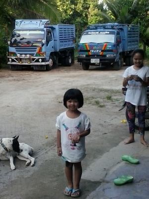 ขายnpr115hpดั๊มรั้วสูง