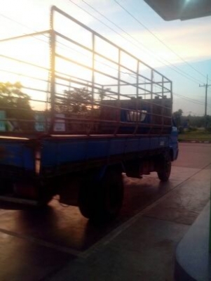 Isuzu TL100 4bc2 เฟืองท้ายใหญ่ Isuzu TL100 4bc2 เฟืองท้ายใหญ่