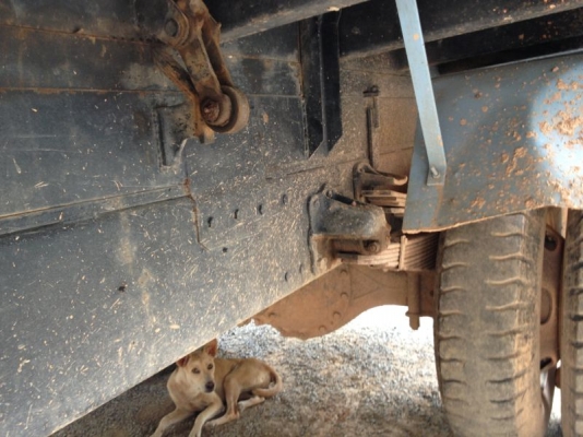 รถฮีโน่ 6 ล้อดั้ม 210 แรงม้า  สนใจติดต่อ  081 - 6079515