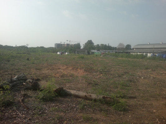 ขายที่ดิน 790 ตารางวา อยู่หลังห้างแหลมทองบางแสน บริเวณหน้า ม.บูรพา