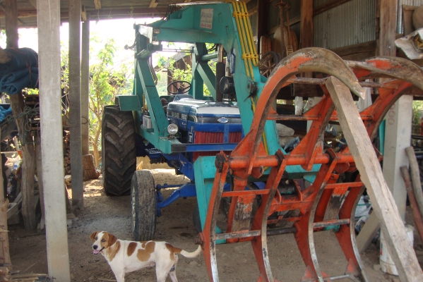 ขายครับ