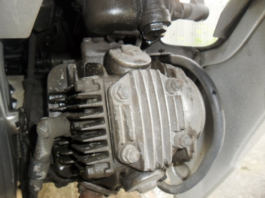 ขายเวฟ100