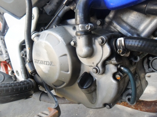 ขายโชนิคตัวเก่า