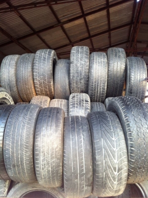 ขายเหมายางเปอร์เซ็นต์ 50 เส้น เฉลี่ยเส้นละ 300 บาท