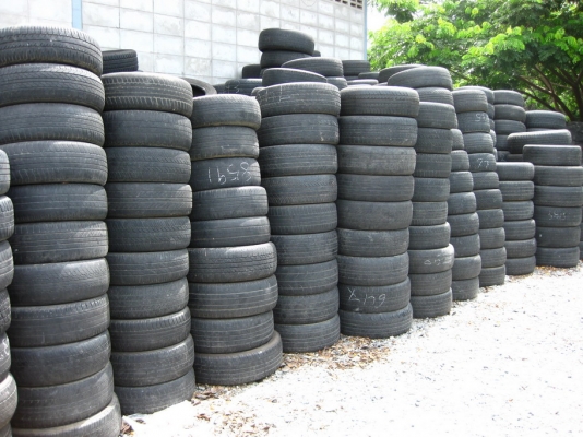 ขายเหมายางเปอร์เซ็นต์ 50 เส้น เฉลี่ยเส้นละ 300 บาท