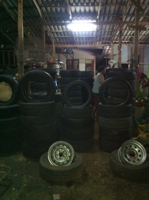 ขายเหมายางเปอร์เซ็นต์ 50 เส้น เฉลี่ยเส้นละ 300 บาท