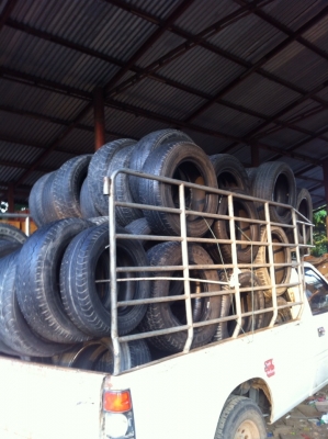 ขายเหมายางเปอร์เซ็นต์ 50 เส้น เฉลี่ยเส้นละ 300 บาท