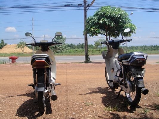 ขายฮอนด้าดรีม คุรุสภา สภาพสวยพร้อมใช้งาน (ทะเบียนพร้อมชุดโอน )