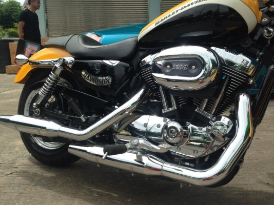 ขาย harlay davidson sportster 1200cc Custom ปี2011