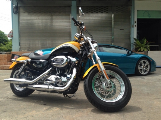 ขาย harlay davidson sportster 1200cc Custom ปี2011