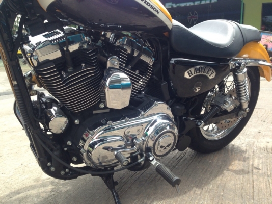 ขาย harlay davidson sportster 1200cc Custom ปี2011
