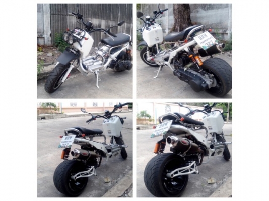 ขาย steed bomber สวยเท่