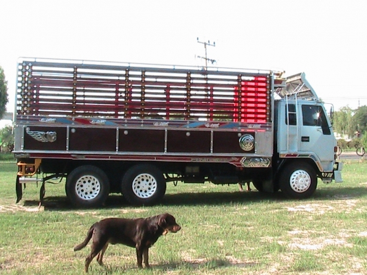 10ล้อเพลาเดียว 195 นางฟ้าแท้