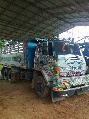 ขายร็อกกี้ 240 แรง แม่ลูก ขายร็อกกี้ 240 แรง แม่ลูก