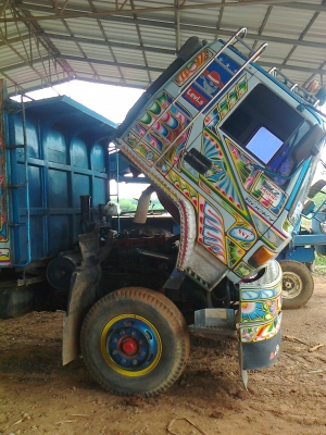 ขายร็อกกี้ 240 แรง แม่ลูก ขายร็อกกี้ 240 แรง แม่ลูก