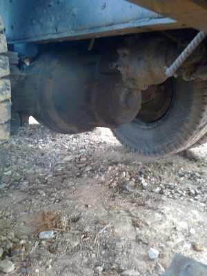 ขายร็อกกี้ 240 แรง แม่ลูก ขายร็อกกี้ 240 แรง แม่ลูก