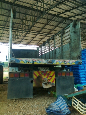 ขายร็อกกี้ 240 แรง แม่ลูก ขายร็อกกี้ 240 แรง แม่ลูก