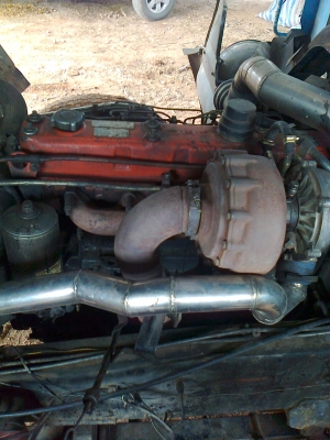 ขายร็อกกี้ 240 แรง แม่ลูก ขายร็อกกี้ 240 แรง แม่ลูก