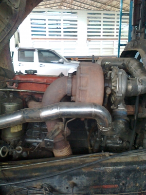 ขายร็อกกี้ 240 แรง แม่ลูก ขายร็อกกี้ 240 แรง แม่ลูก