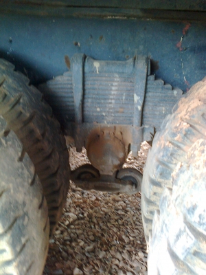 ขายร็อกกี้ 240 แรง แม่ลูก ขายร็อกกี้ 240 แรง แม่ลูก