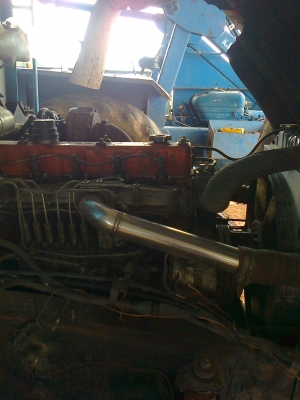 ขายร็อกกี้ 240 แรง แม่ลูก ขายร็อกกี้ 240 แรง แม่ลูก