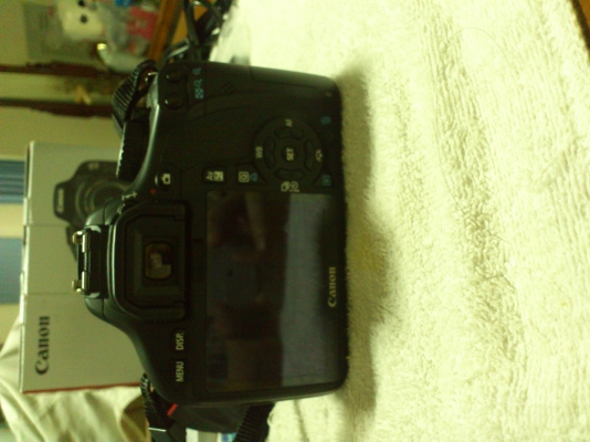 ขายด่วน canon 550D ขายด่วน canon 550D