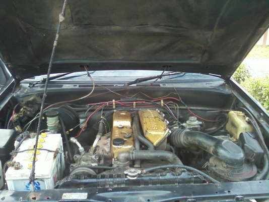 มังกรทอง แคป อยู่สารคาม