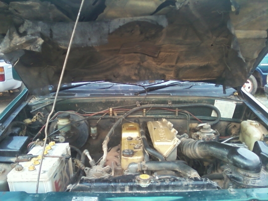 มังกรทอง แคป อยู่สารคาม