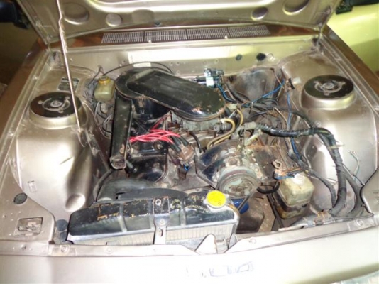 มือใหม่หัดขายส่ง เปอร์โย สภาพ ออกห้าง มือใหม่หัดขายส่ง เปอร์โย สภาพ ออกห้าง