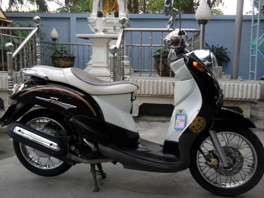 ขอขาย ฟีโน่ รถพร้อมใช้งาน ด่วน ๆ