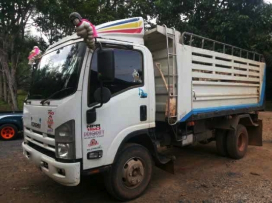 รถอิซูซุ 6 ล้อดั้ม 150 แรงม้า ปี 51  รถวิ่ง 12x,xxx กม.  สนใจติดต่อ 081 - 6079515