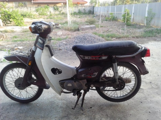 ขาย นันทิดา สีม่วงหายาก ทะเบียนโอน ราคานี้หาไม่ได้แล้ว