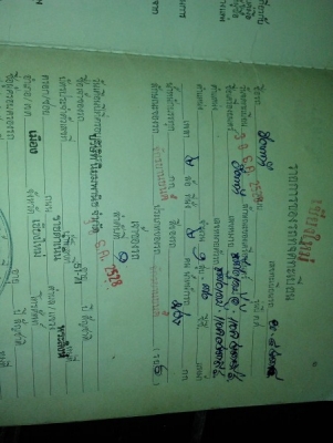 ขาย นันทิดา สีม่วงหายาก ทะเบียนโอน ราคานี้หาไม่ได้แล้ว