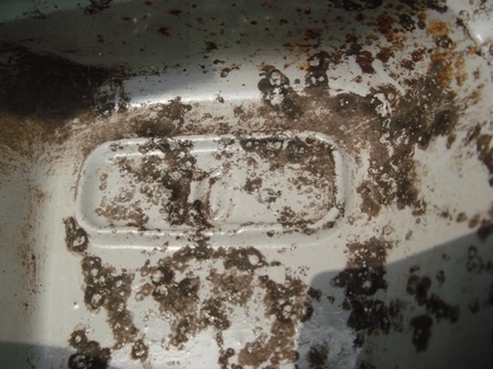 ขายล้อแม็กขอบ 16 u s a 6รู 139 1ชุด ใส่ขับ2และขับ4โตโย มิตซู นิสสันและกะบะได้หลายรุ่น ขายล้อแม็กขอบ 16 u s a 6รู 139 1ชุด ใส่ขับ2และขับ4โตโย มิตซู นิสสันและกะบะได้หลายรุ่น