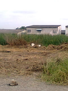 ขายที่ดินลำลูกกาคลอง 2 ราคาถูก เจ้าของขายเอง