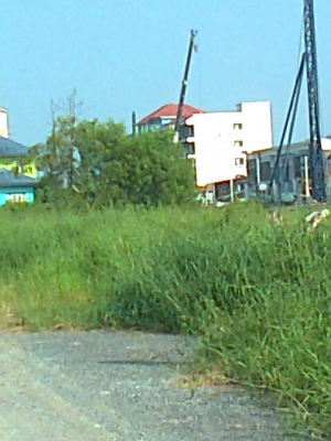 ขายที่ดินลำลูกกาคลอง 2 ราคาถูก เจ้าของขายเอง