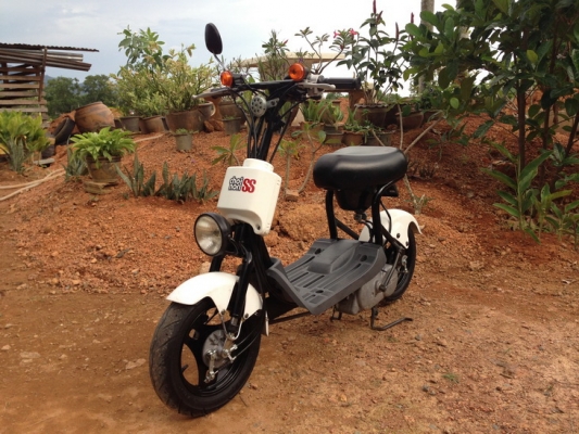 ขาย Suzuki Choi nori  SS ประกอบใหม่ สวยๆ คับ