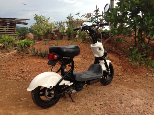 ขาย Suzuki Choi nori  SS ประกอบใหม่ สวยๆ คับ