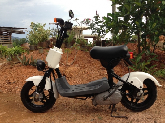 ขาย Suzuki Choi nori  SS ประกอบใหม่ สวยๆ คับ