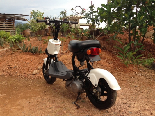 ขาย Suzuki Choi nori  SS ประกอบใหม่ สวยๆ คับ