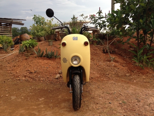 ขาย Suzuki Choi nori   ประกอบใหม่ สวยๆ คับ