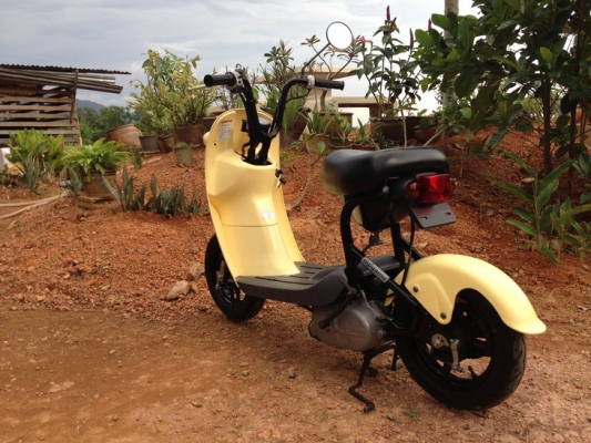 ขาย Suzuki Choi nori   ประกอบใหม่ สวยๆ คับ