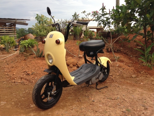 ขาย Suzuki Choi nori   ประกอบใหม่ สวยๆ คับ