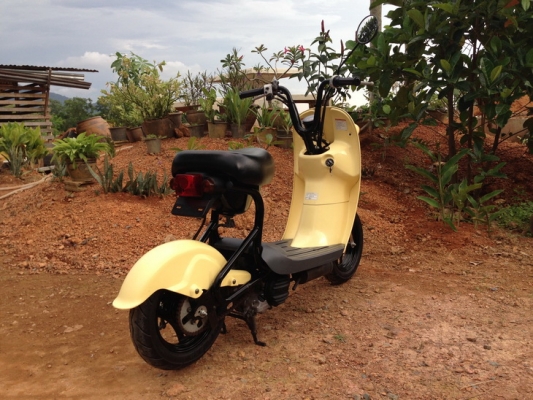 ขาย Suzuki Choi nori   ประกอบใหม่ สวยๆ คับ