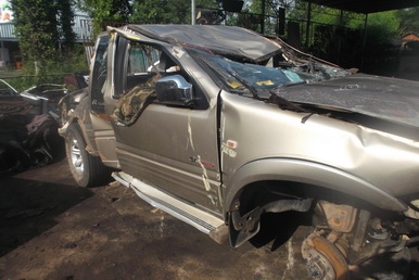 ขายแยกดราก้อนโฟวิลทุกชิ้น