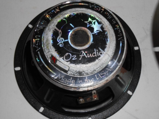 ลำโพง 8 นิ้ว OZ